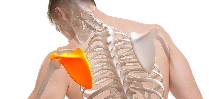 Low back pain in the scapula